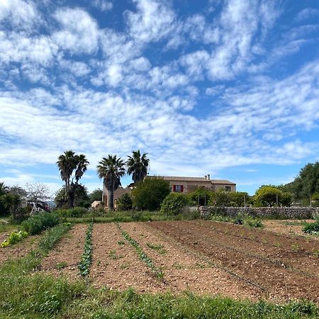 Finca Ses Cases Noves Sant Llorenc Des Cardassar Exterior foto