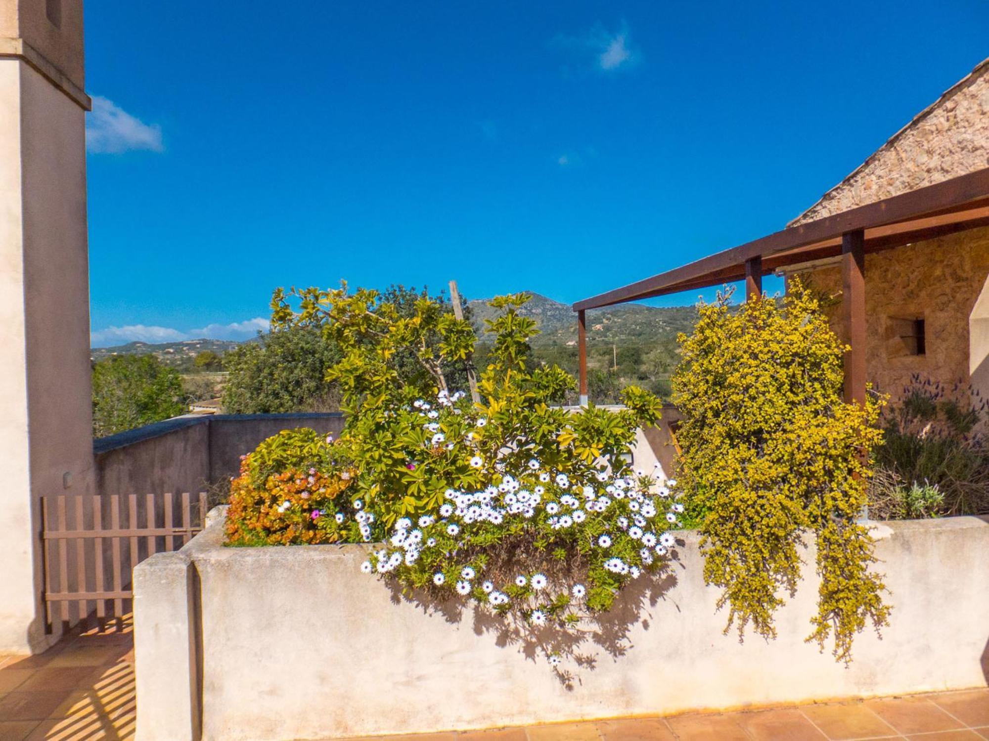 Finca Ses Cases Noves Sant Llorenc Des Cardassar Quarto foto