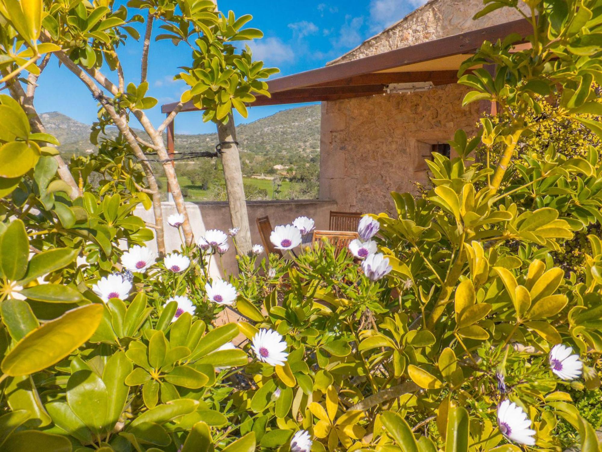 Finca Ses Cases Noves Sant Llorenc Des Cardassar Quarto foto
